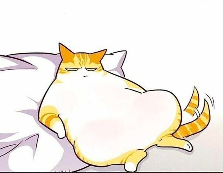 melonkiwi__'s tweet image. T1 Membership Giveaway ( 1 month subscription only )

Just RT this tweet.

Don't follow me bcs I'm just a chubby and boring cat who like to yap.

Thank you very much.

Deadline? Erm.. Tomorrow 23/11.