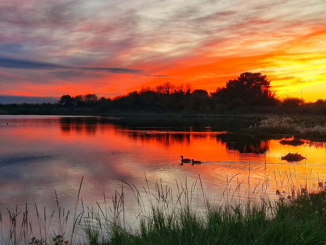 CommunityAd's tweet image. 🌅 Good vibes and golden skies! ✨ Check out this stunning sunset at Cliffsend captured by Kerri Baker. 🌞 Wishing everyone a day as beautiful as this view! 💛

#Cliffsend #Sunset #NatureMagic #GoodVibes #ramsgate #ramsgatekent #thanet #kent #kentphotoshoot #kentphotography
