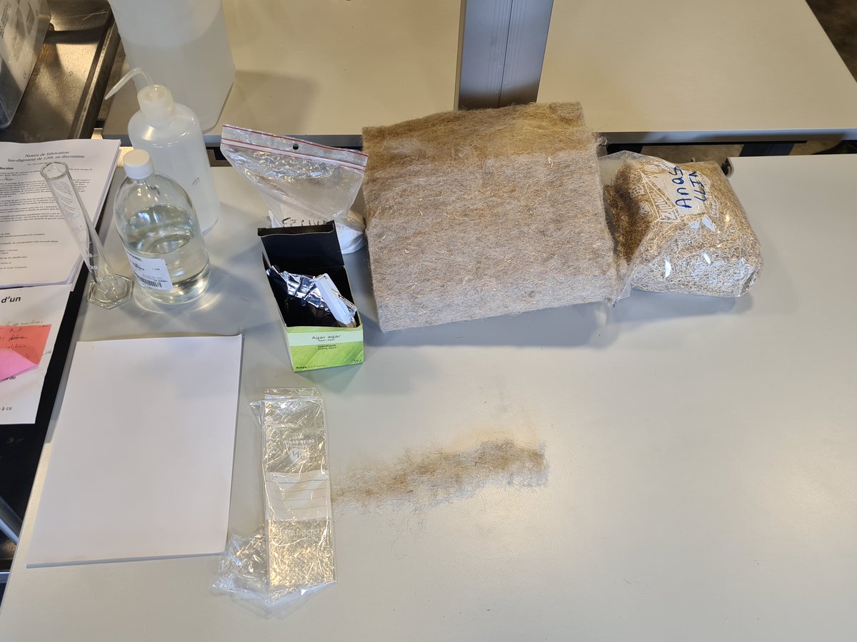 🔰Le 14 novembre, le <a href="/LePlusdeScience/">Le PLUS</a> (59) a accueilli une formation animée par Ombelliscience pour utiliser l' #exposition sur la #bioeconomie 🌍🔄 et animer un atelier sur le bioplastique 🍃

👀 Expo à voir du 06/01 au 22/04/2025

Actu à lire ici 👉🏻ombelliscience.fr/actualites/qua…