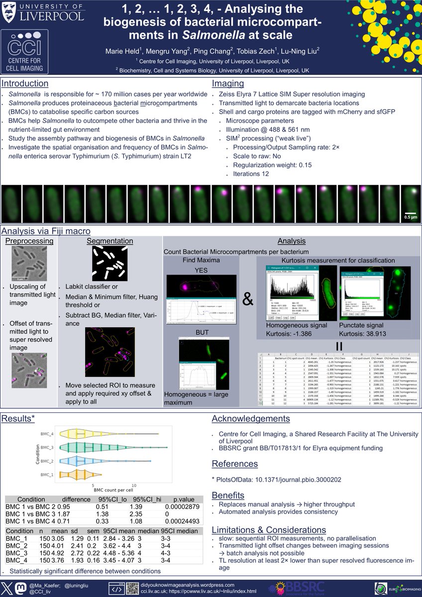 Marie Held 👩‍💻🔬💻🖼🔢 tweet media