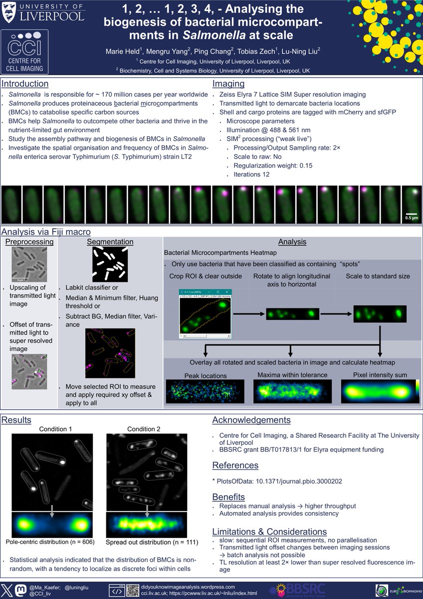 Marie Held 👩💻🔬💻🖼🔢 (@makaefer) on Twitter photo #CBIAS2024 poster sneak preview. See it in all its multi-layered glory (#30). I will be there to represent the Centre for Cell Imaging, a Shared Research Facility @ the University of Liverpool <a href="/luningliu/">LiuLab</a> <a href="/CCI_liv/">CCI Uni of Liverpool - cci-liv.bsky.social</a> <a href="/livuniLivSRF/">Liverpool Shared Research Facilities</a> <a href="/LivUniHLS/">Faculty of Health and Life Sciences</a> <a href="/The_CBIAS/">Crick BioImage Analysis Symposium</a> <a href="/EuroBioImaging/">Euro-BioImaging ERIC</a> <a href="/BioImagingUK/">BioImagingUK</a> #CBIAS2024 poster sneak preview. See it in all its multi-layered glory (#30). I will be there to represent the Centre for Cell Imaging, a Shared Research Facility @ the University of Liverpool <a href="/luningliu/">LiuLab</a> <a href="/CCI_liv/">CCI Uni of Liverpool - cci-liv.bsky.social</a> <a href="/livuniLivSRF/">Liverpool Shared Research Facilities</a> <a href="/LivUniHLS/">Faculty of Health and Life Sciences</a> <a href="/The_CBIAS/">Crick BioImage Analysis Symposium</a> <a href="/EuroBioImaging/">Euro-BioImaging ERIC</a> <a href="/BioImagingUK/">BioImagingUK</a>