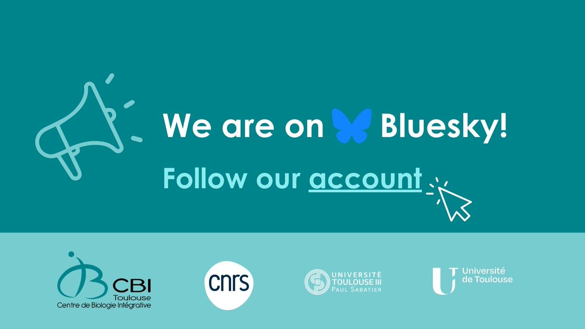 CBI Toulouse tweet media