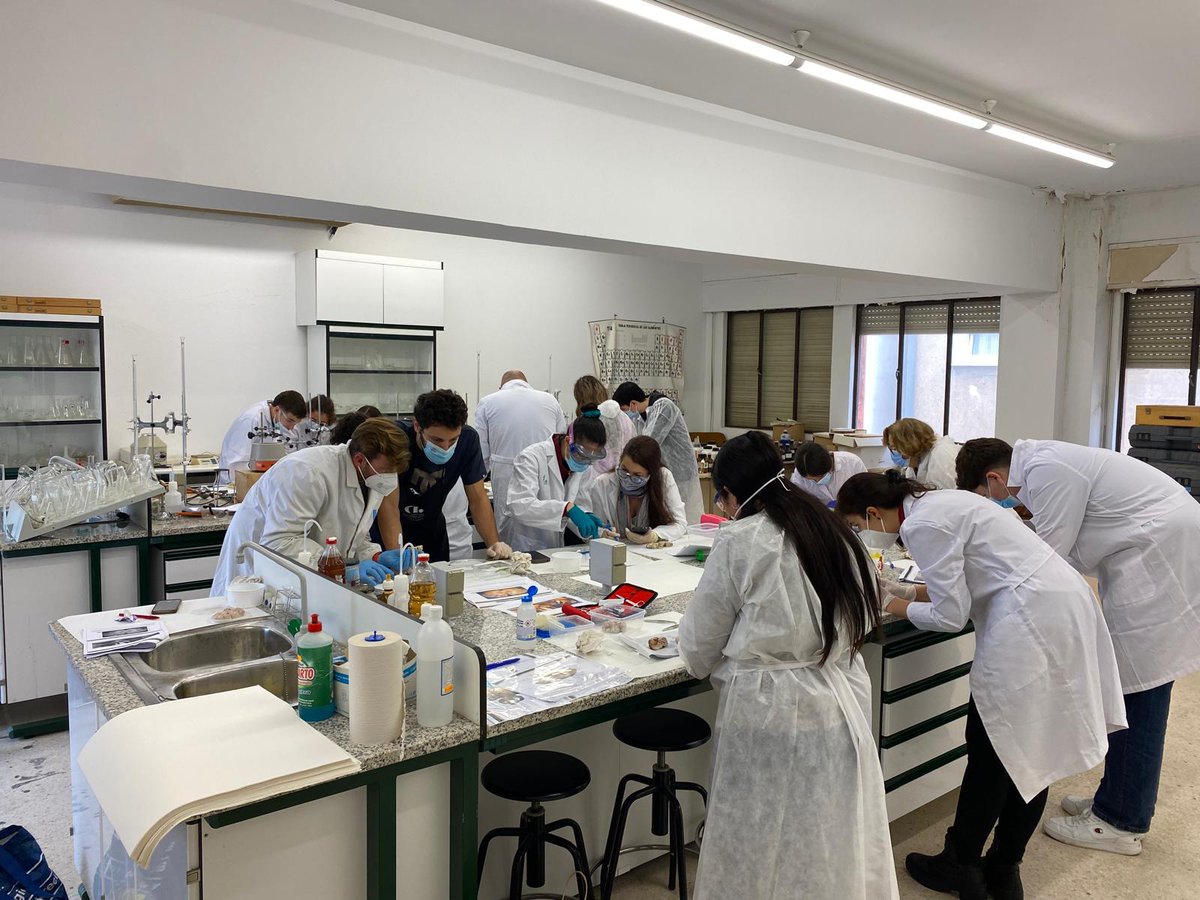 UNED Mérida tweet media