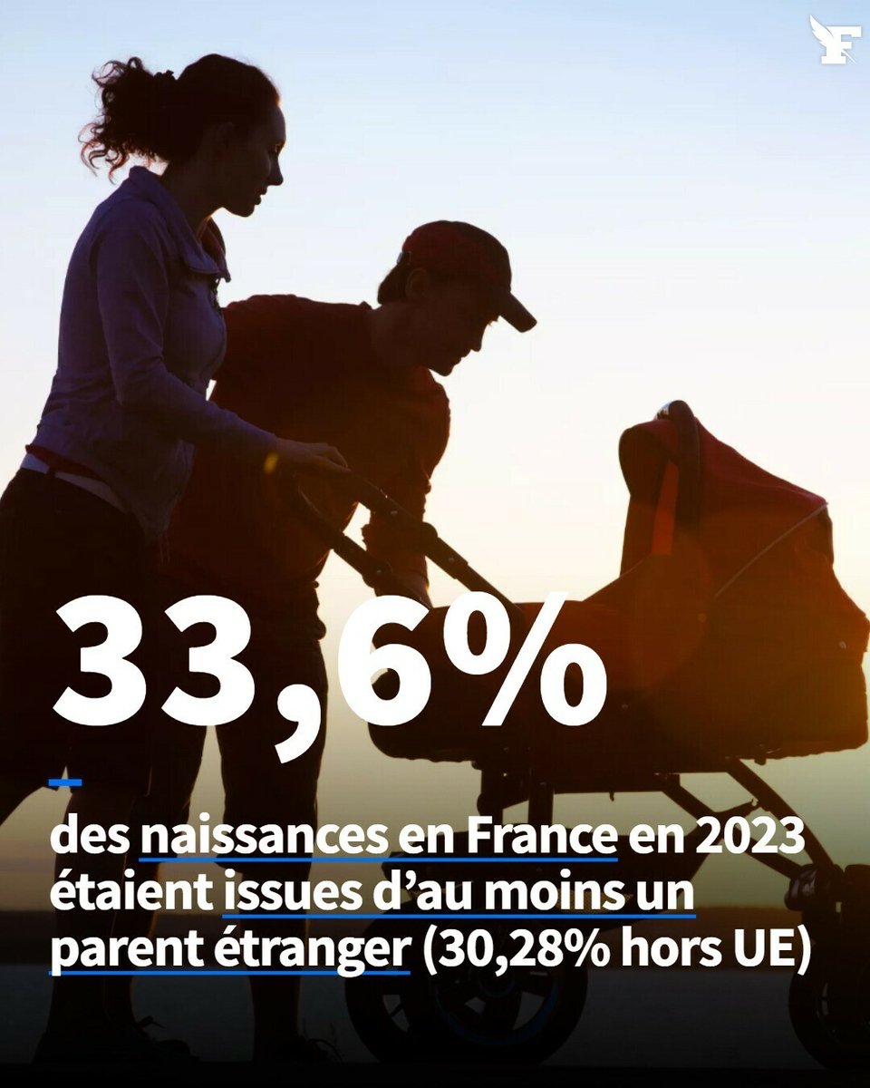 «Le nombre de naissances décline globalement depuis 2010 (-20%), mais plus vite lorsque les deux parents sont nés en France (-27%).»
→ l.lefigaro.fr/owp