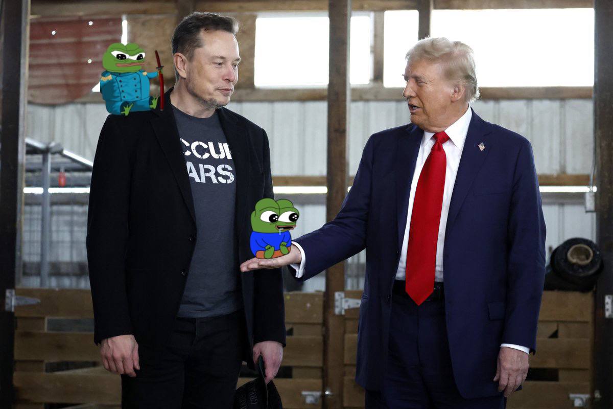 TPatdog's tweet photo. @elonmusk https://t.co/YlvQa0GRud