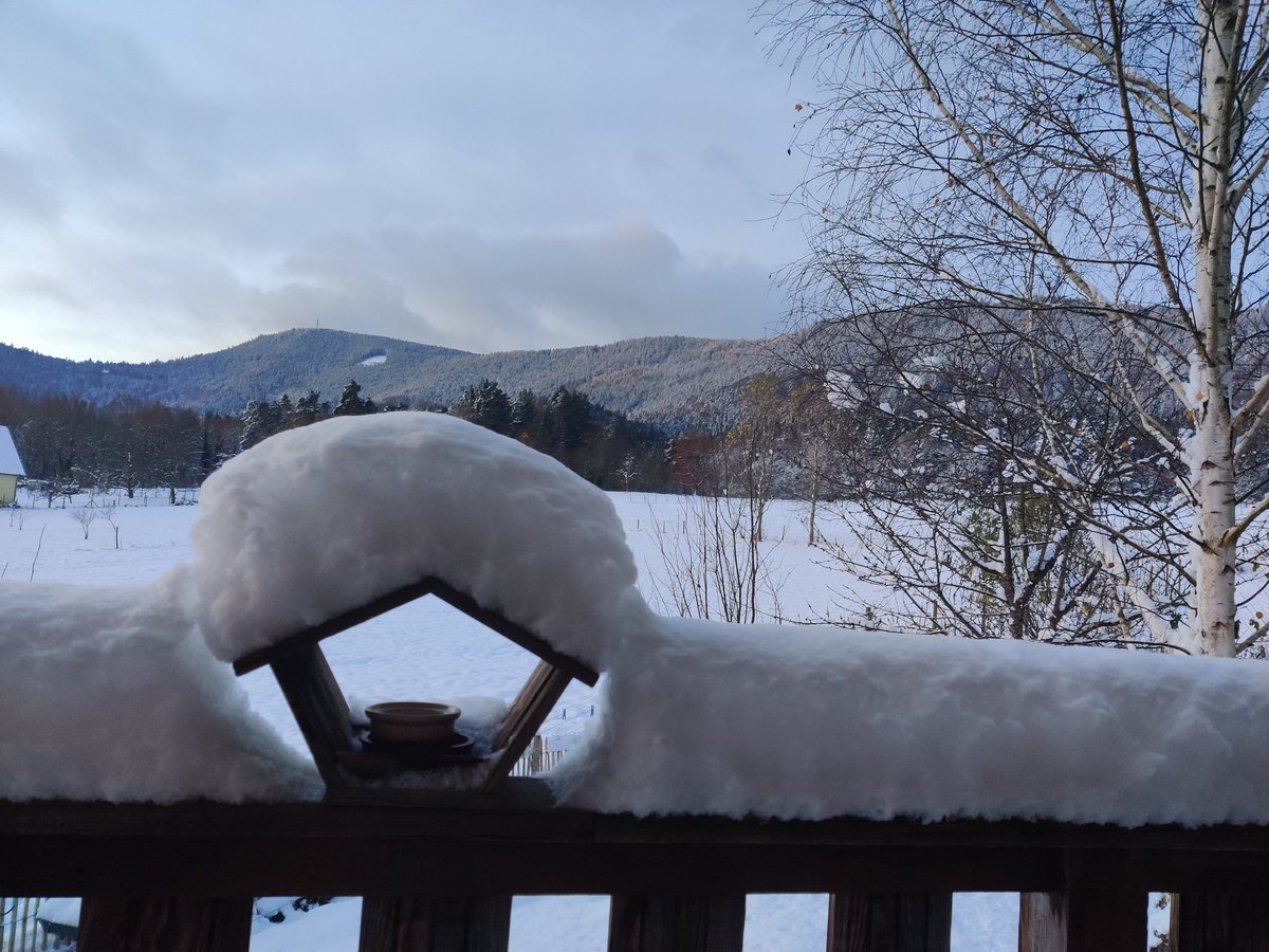 Like one said: "Snow in November, Christmas in December" 😁