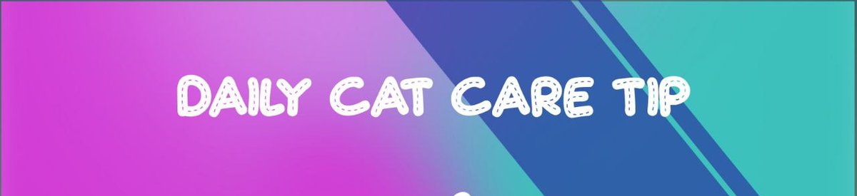 Cat Care Tips aren't going to be mentioned on our X(Twitter) no more!...

So as to drive more eyes to our Telegram pages where we upload em in numbers😻...

You love your Cat and want to take absolute Care of em then get on Tg🤍💎🤍...