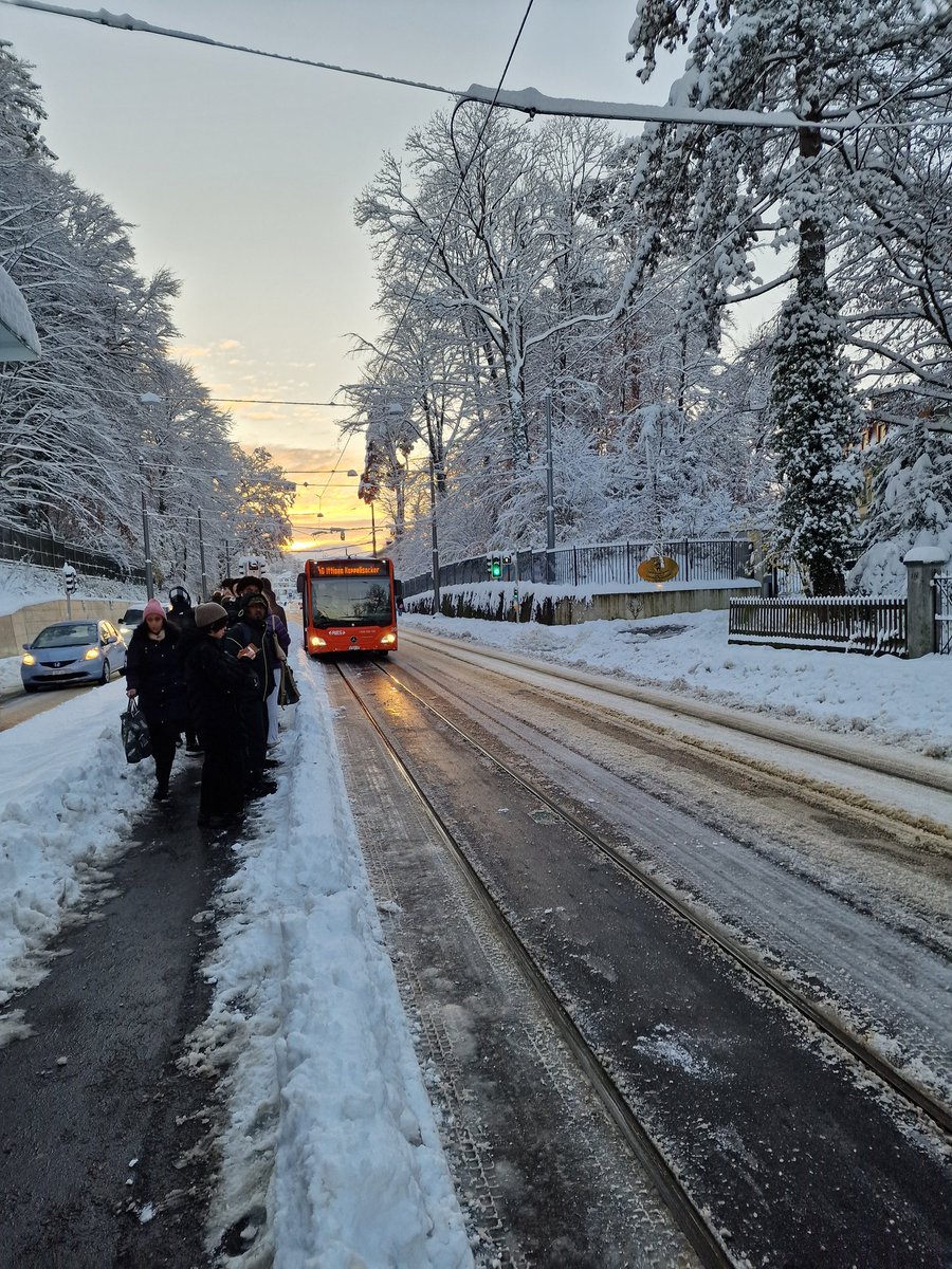 Tobias Frehner tweet media