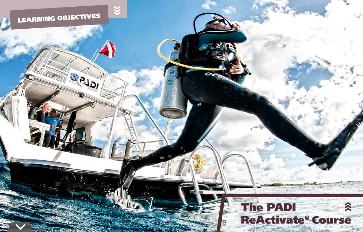 Scubanuts3's tweet photo. 🌊 Time to Refresh Your Scuba Skills? 🌊

Has it been a while since your last dive? Ready to get back underwater with confidence? Join us at Northampton Scuba School for a Scuba Refresher course! 🐠 https://t.co/kvkOq3b5Os