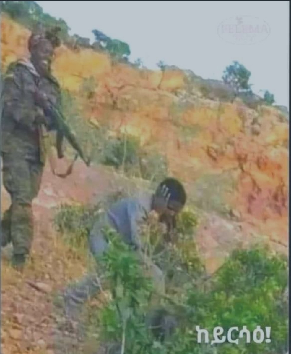 For those of you who doesn't know, this is #TigrayGenocide. The woman in a military uniform is an Ethiopian soldier. The teen is a boy from #Tigray who has absolutely nothing to do with politics. #TigrayGenocide