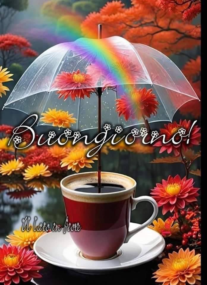 RITABIANCHi56 tweet media