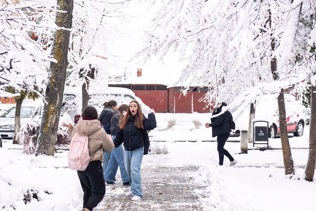 Travel_2Romania's tweet image. La Rădăuți #Suceava , după ce a nins toată noaptea! ❄️🛷🎿🌨️#Rădăuți #WinterNight
©️ Cătălin Urdoi 
#TraveltoRomânia