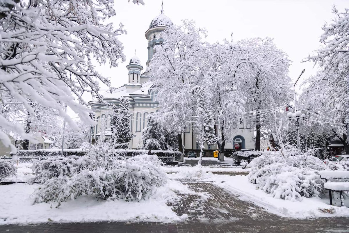 Travel_2Romania's tweet image. La Rădăuți #Suceava , după ce a nins toată noaptea! ❄️🛷🎿🌨️#Rădăuți #WinterNight
©️ Cătălin Urdoi 
#TraveltoRomânia