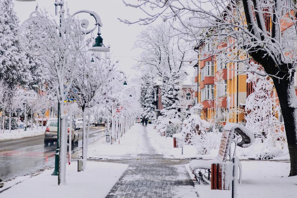 Travel_2Romania's tweet image. La Rădăuți #Suceava , după ce a nins toată noaptea! ❄️🛷🎿🌨️#Rădăuți #WinterNight
©️ Cătălin Urdoi 
#TraveltoRomânia