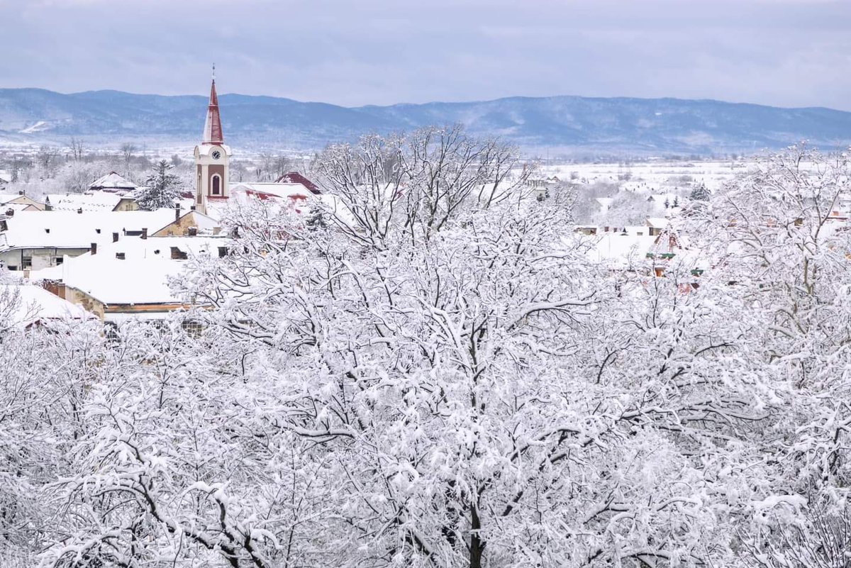 Travel_2Romania's tweet image. La Rădăuți #Suceava , după ce a nins toată noaptea! ❄️🛷🎿🌨️#Rădăuți #WinterNight
©️ Cătălin Urdoi 
#TraveltoRomânia