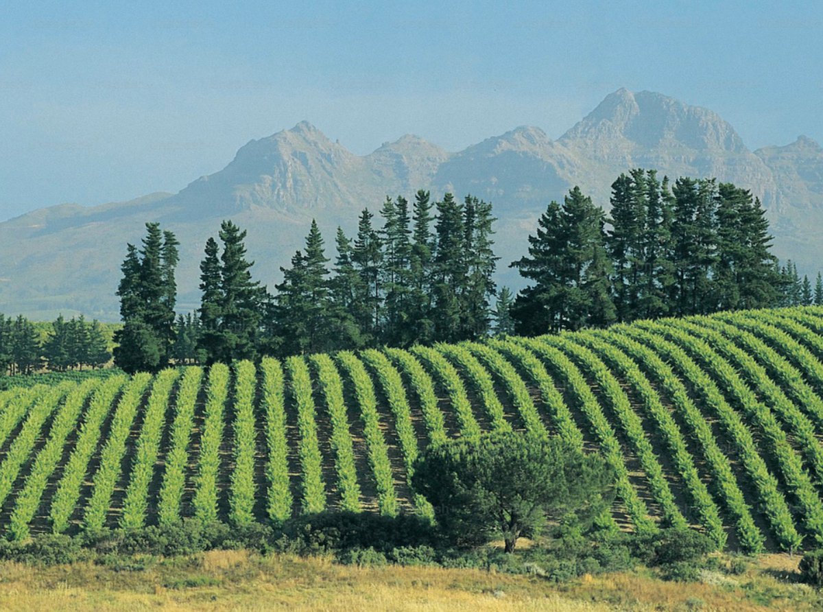 UnimondoOrg's tweet image. #Rigenerare le #terrealte è la chiave per contrastare il deserto dell’agricoltura e della socialità. Meno abitanti, meno servizi e più abbandono, in una spirale senza fine di cui l’agricoltura paga un grande scotto...
Da @SlowFoodItaly su unimondo.org/Guide/Ambiente…