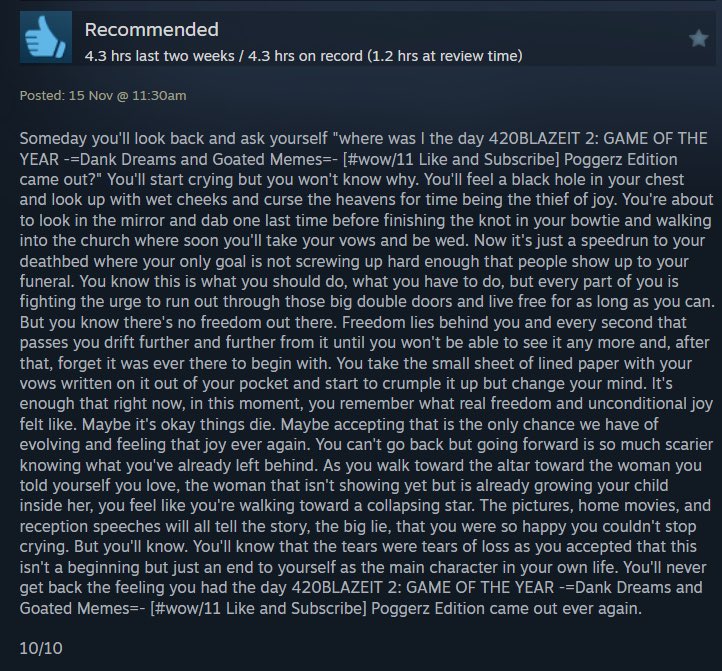 intended gameplay experience