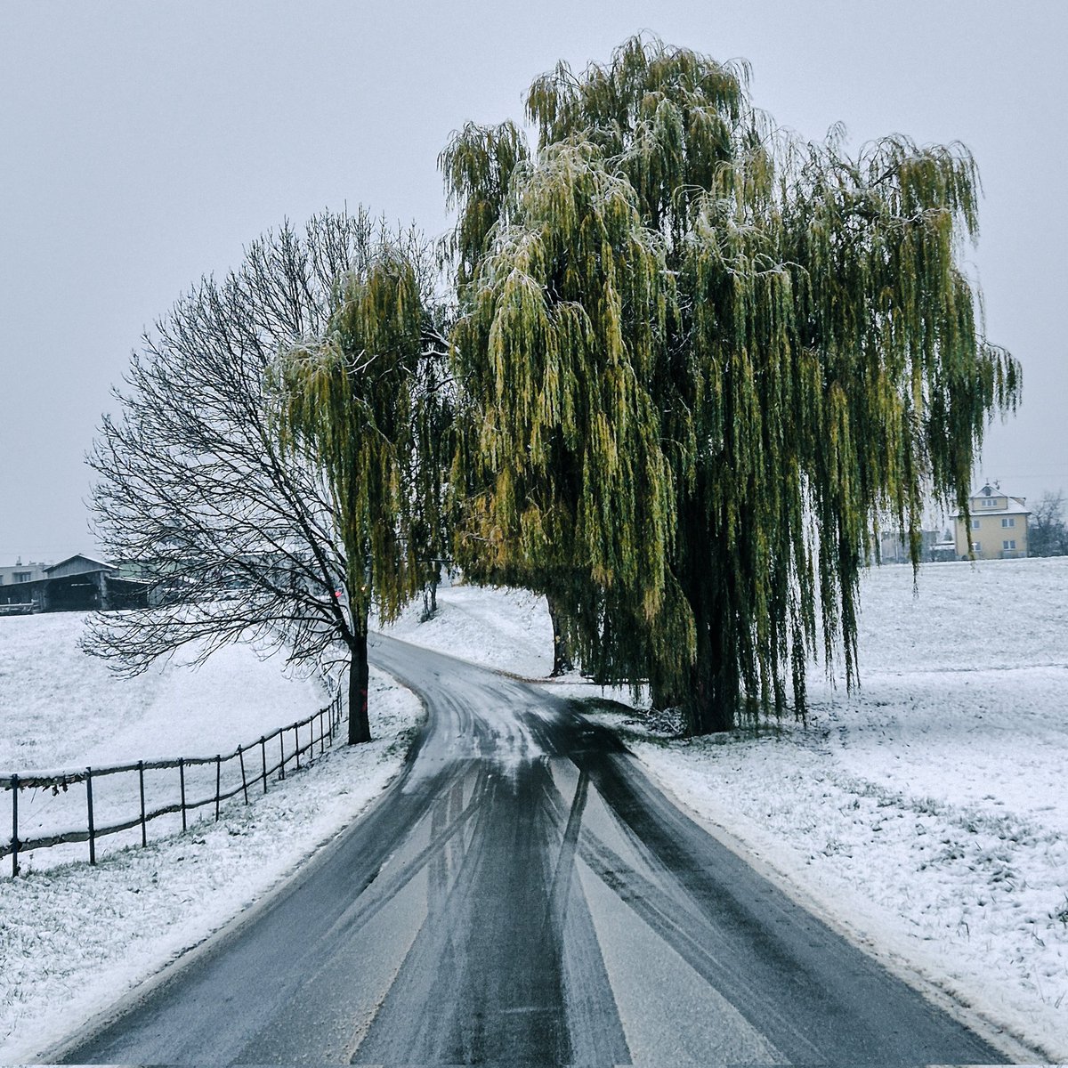 pkuler's tweet photo. #frystak #czechia #zlinskykraj #sky #snow #roadsurface #naturallandscape #plant #tree #freezing #gate #woodyplant https://t.co/ColMaG7p06