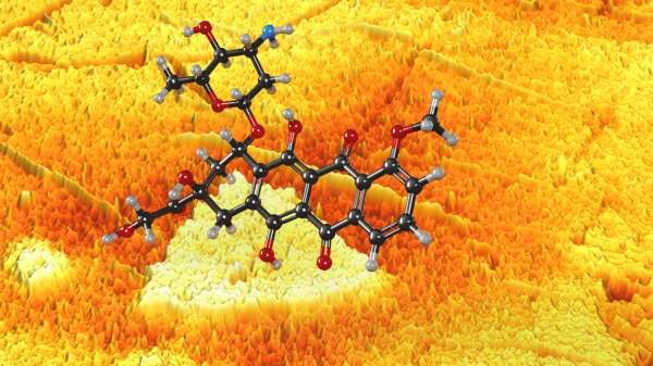 Bsbe2024's tweet photo. Detecting non-uniformities in 2D materials may lead to new medical sensors read more at: https://t.co/plkmexpF0l for more related information join at: https://t.co/vXQJONgHb1 #Bio #technologies #sensors #Electronic #skyフレンド募集中 https://t.co/wmTFq1E4kT