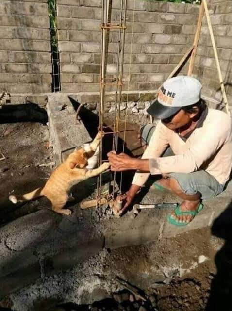 sosmedkeras's tweet photo. Orangtua:                         anaknya: https://t.co/JswCPZKDbF