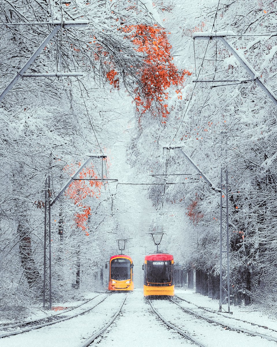 W Warszawie nastała zimojesień, jak rok temu 🍁❄️📸