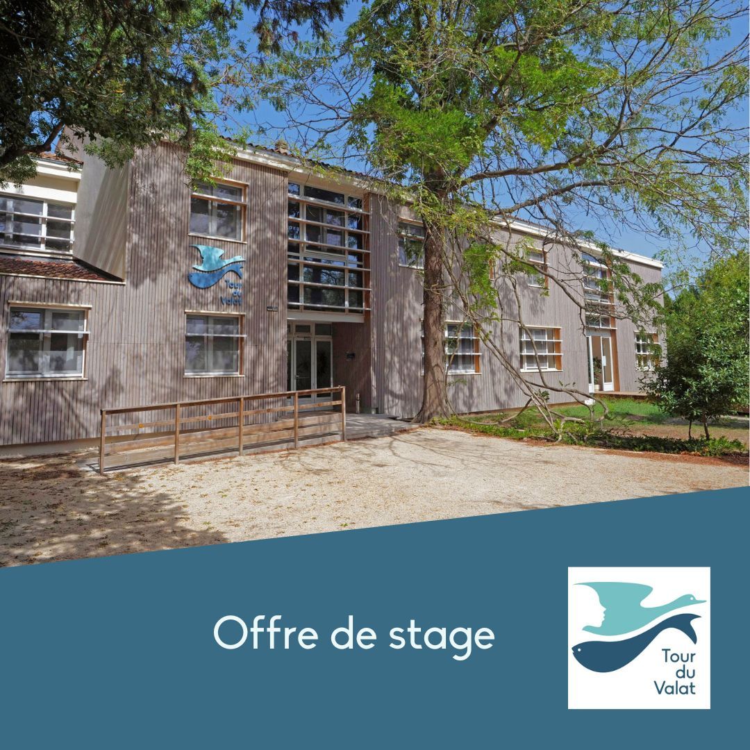 🔔💼 La Tour du Valat recherche un·e stagiaire de Master 2 pour participer au projet Rest-Chir’Eau : Cartographie de la Trame Turquoise de l’ancien Bras de Fer du Rhône par l’activité des chauves-souris

🔗 vist.ly/3mm2fad