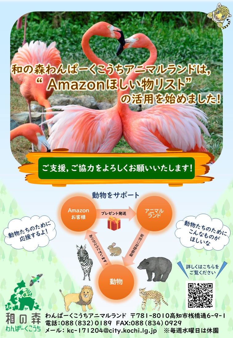 KochicityZoo's tweet photo. 和の森わんぱーくこうちアニマルランドでは、新たな寄付制度として「Amazonほしい物リスト」を活用することとなりました。
動物の飼育環境の改善や園内景観の整備等に関する物品のご寄付を募り、動物福祉の向上や観覧環境の充実を進めていきます。
https://t.co/aSGyjsqpjm https://t.co/Q0GfcfB0Ri