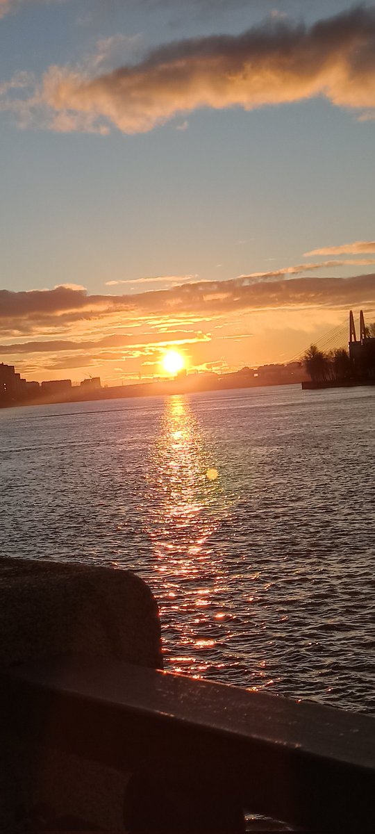 kmuser201's tweet photo. ☀️🙌 #photography #goodmorning https://t.co/SKJ07a6Rmj