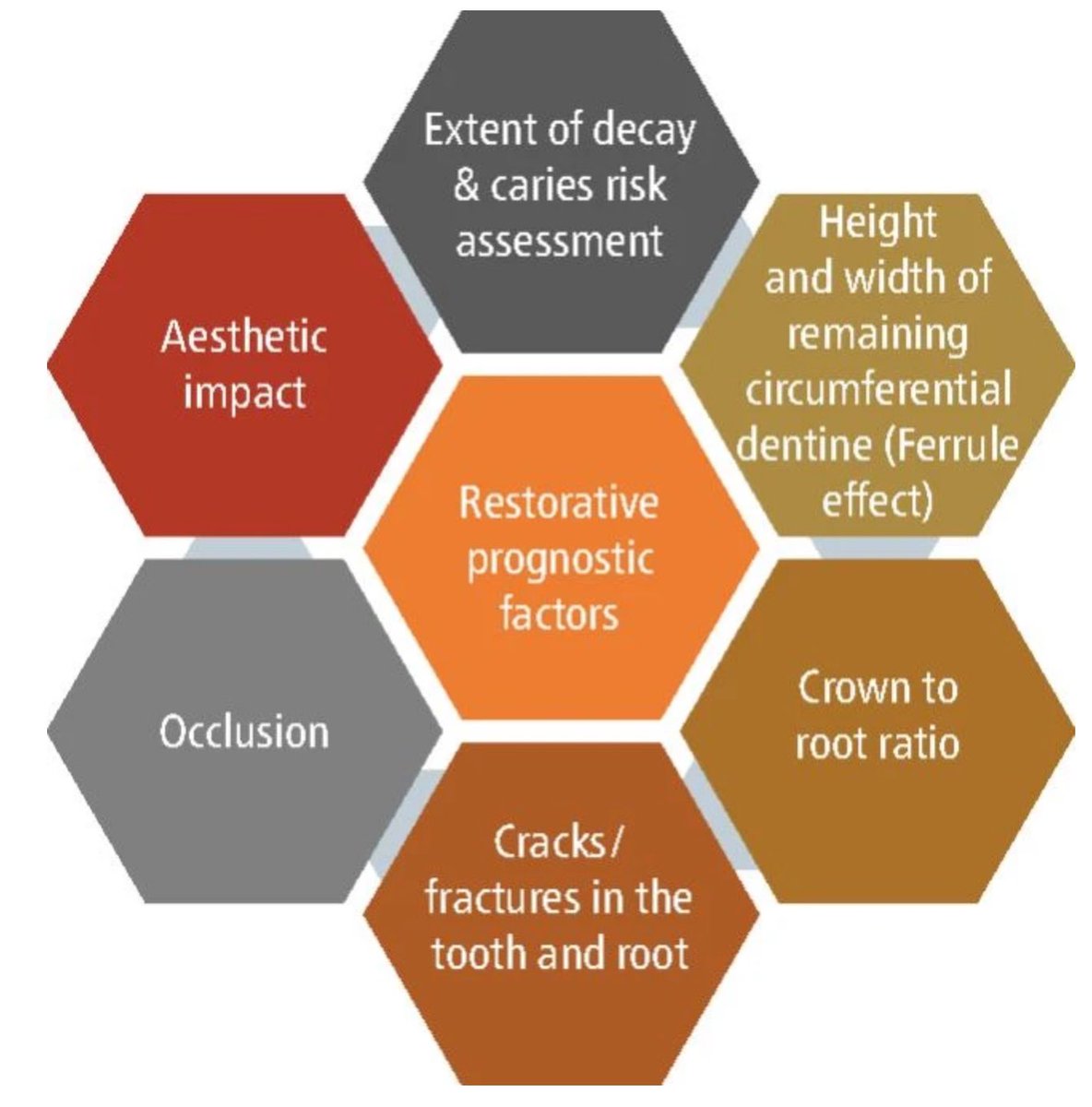 Dr.Bandar tweet media