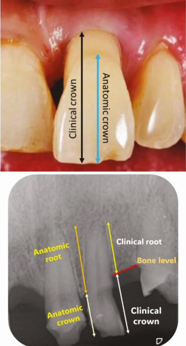 Dr.Bandar tweet media