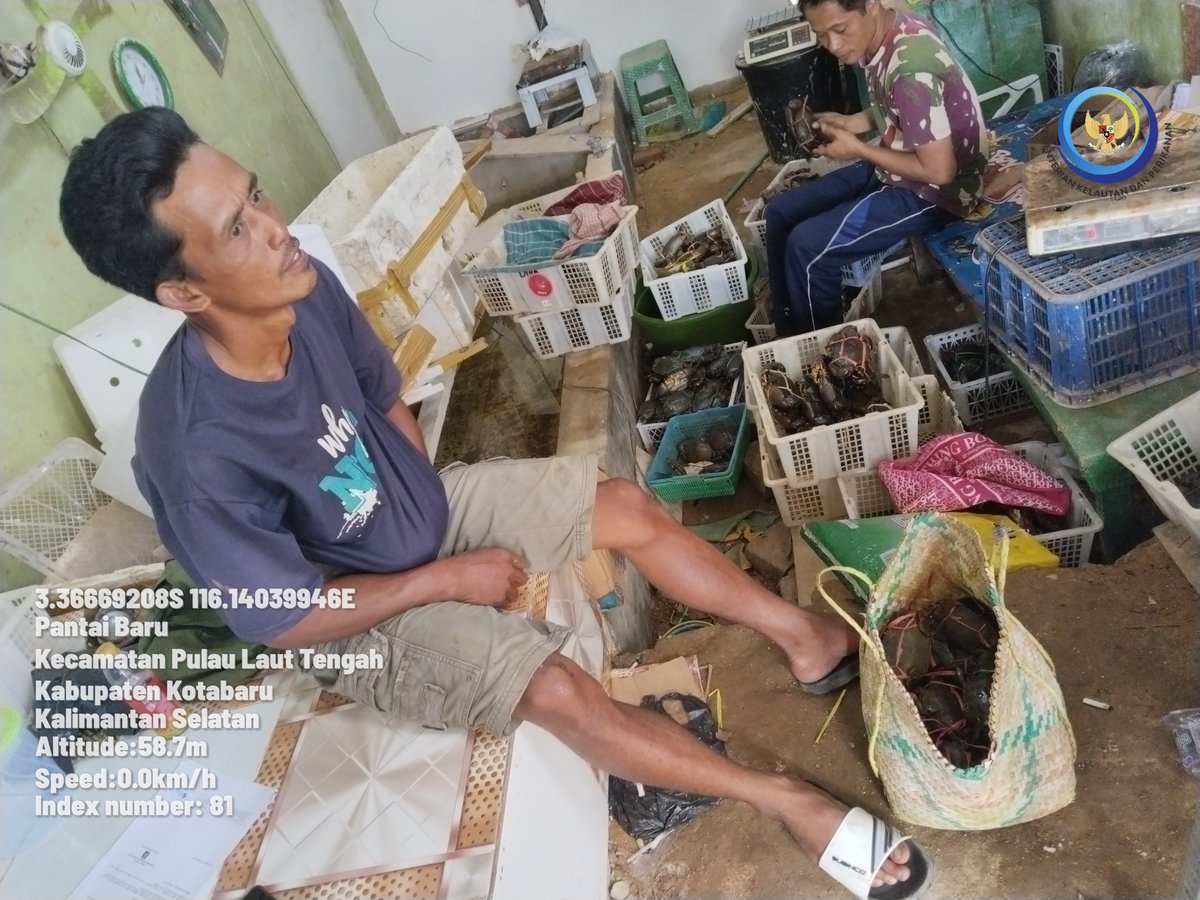 arhas_hakim's tweet photo. Jum'at, 22/11/24, Arif Hakim Saadi, Luhkan Kotabaru, melaporkan hasil tangkapan Kepiting Bakau dengan Bubu kepiting, oleh pelaku utama an. Tahe desa Mekarpura dgn hasil tangkapan sbnyk 6,5 kg, harga Rp. 75.000/kg. #GiatluhkansatminkalBWI #kotabaru #luhlapor https://t.co/xa1WYd1r1A