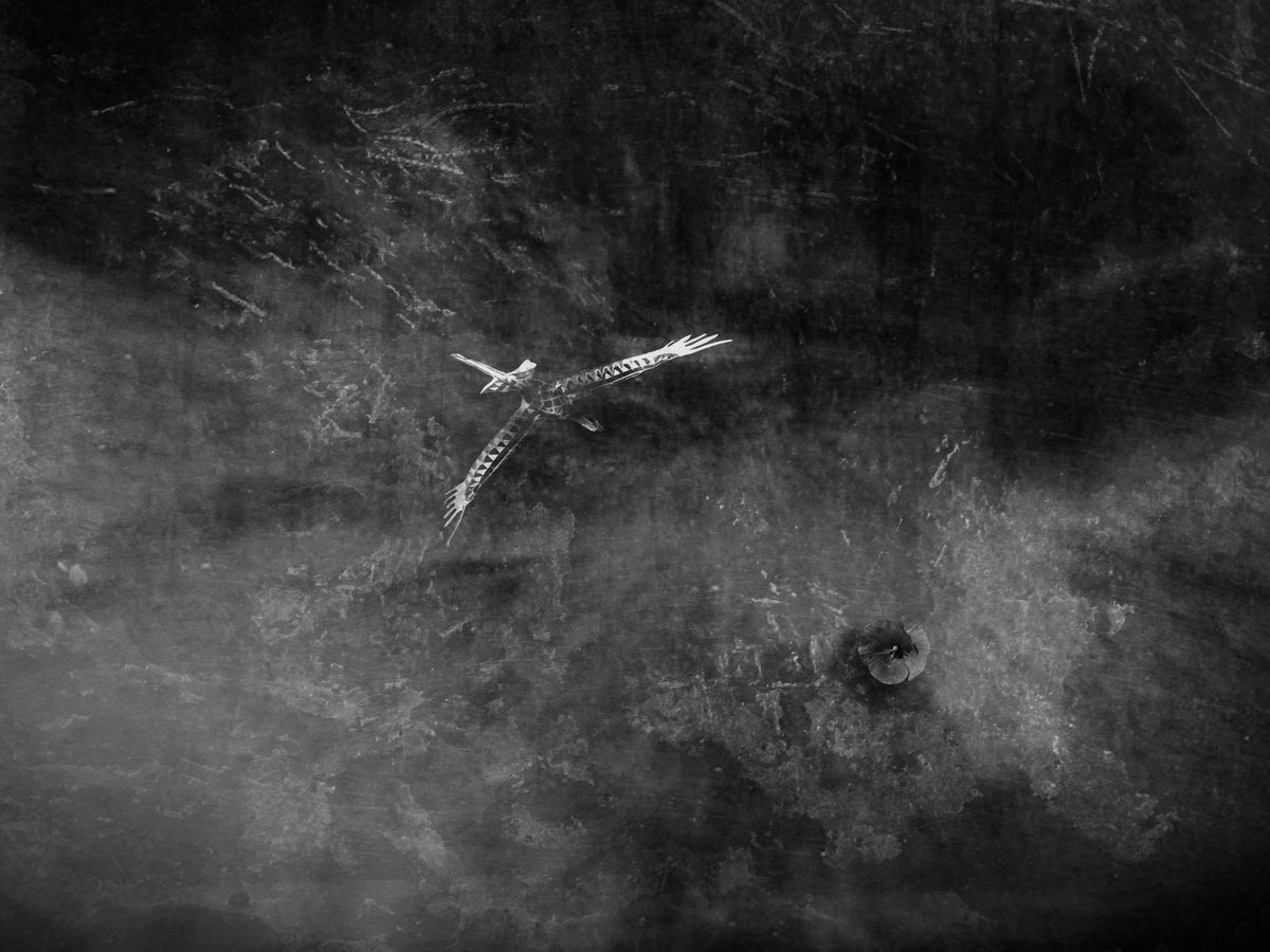 paw4l's tweet photo. Piątek.
Cień wojny wciąż snuje się wśród ludzi. To przypomnienie, że spokój bywa złudny.
#blackandwhitephoto #patynowski https://t.co/YJck3wNbxv
