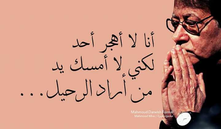 Nidal B (@bheisnidal) on Twitter photo 