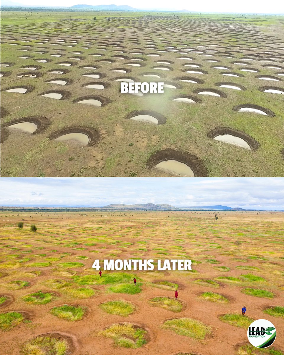 Transformation in just 4 months? Believe it!🌱

 The power of Nature-based Solutions such as #earthsmiles where we start by digging, harvesting rainwater, then lush vegetation grows in the bunds and the greenery spreads its magic across the plot.  With <a href="/justdiggit/">Justdiggit</a>
