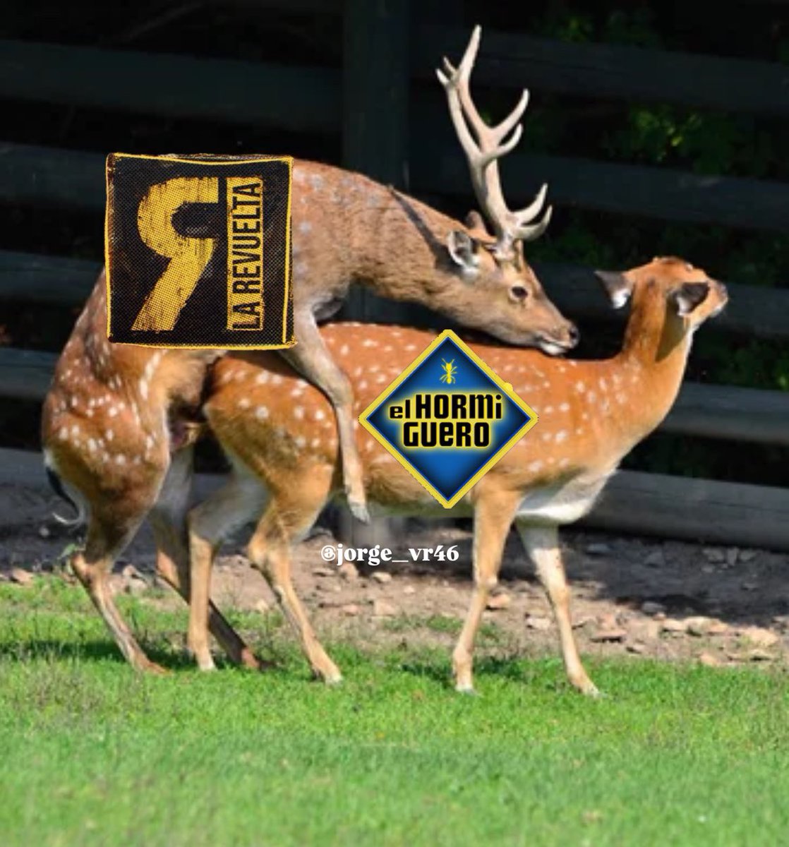 Soy___Jorge's tweet image. Llega la Berrea a #LaRevuelta