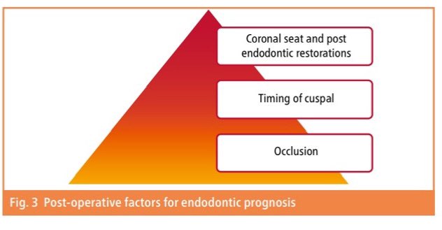 Dr.Bandar tweet media