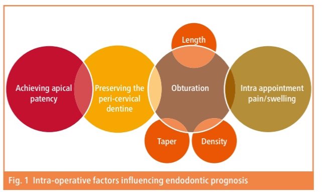 Dr.Bandar tweet media