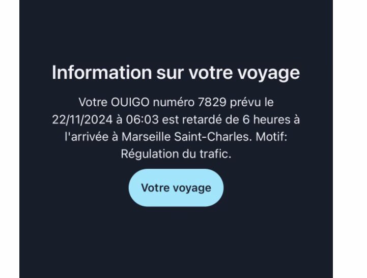 SBekare's tweet photo. @OUIGO c’est quoi ce bordel ??? Aucune communication dans le train. Et on en voit pleins d’autres circuler normalement !!! https://t.co/iQK7BzMzKh