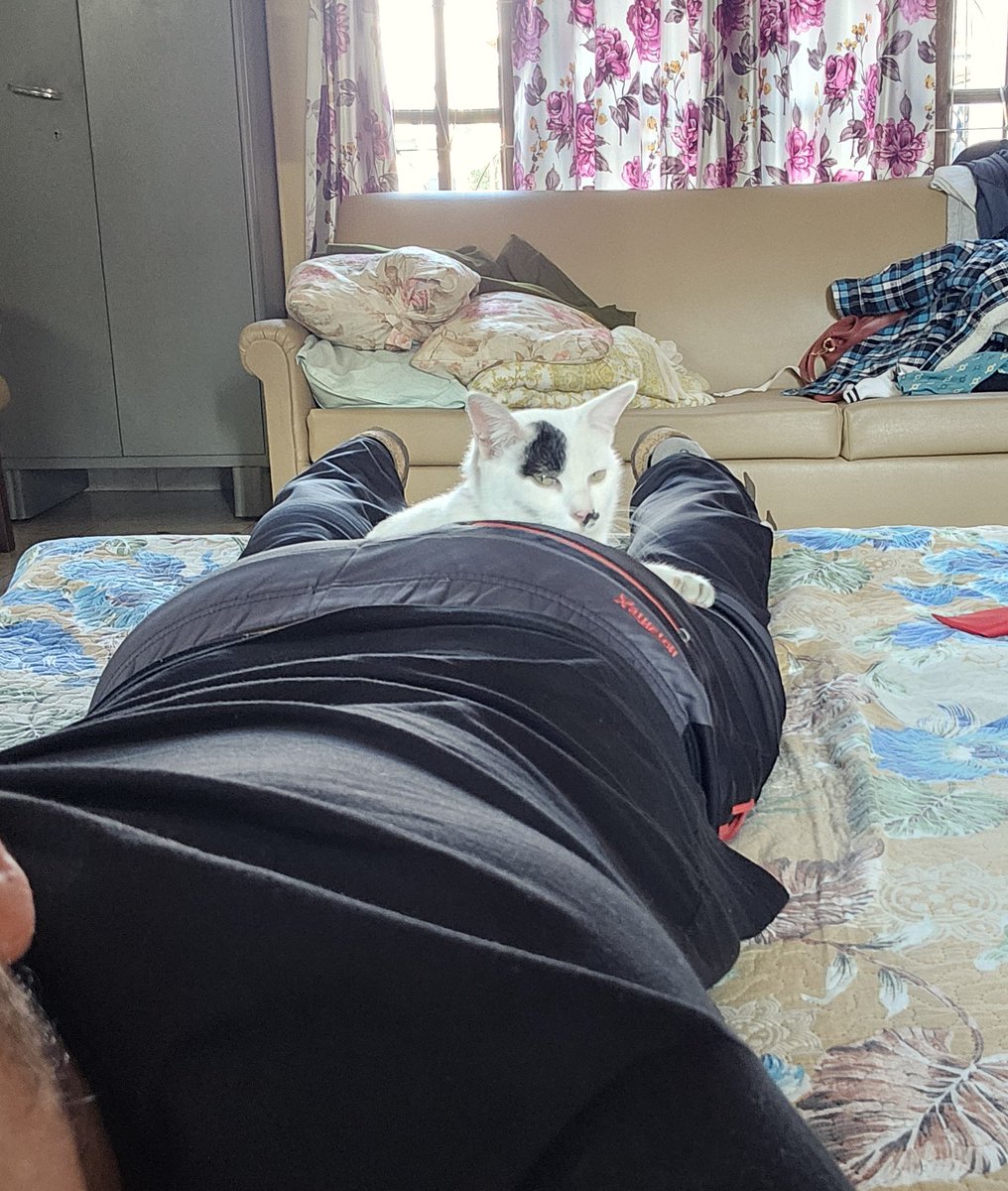 bigboymawia tweet media