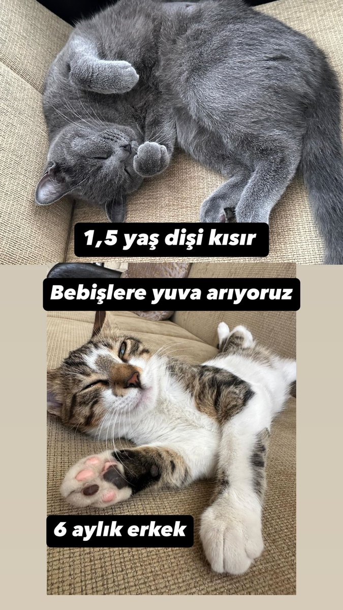 ttuuiss's tweet photo. https://t.co/BMPr5mrgDQ