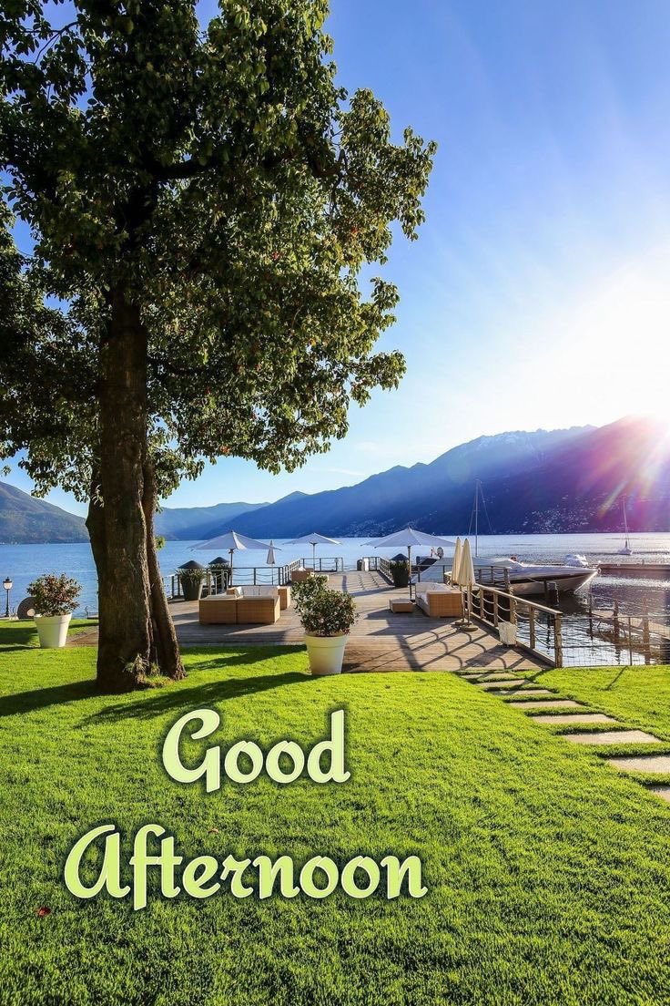 दोपहर की कोमल चमक में, आपको शांति का एक पल मिले जो आपको आपके लक्ष्यों की ओर प्रेरित करे।
GOOD AFTERNOON
