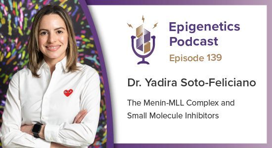 In this episode we talked with Yadira Soto-Feliciano from MIT about her work on the Menin-MLL complex and the effect of small molecules on its stability in leukemia. #podcast #epigenetics #chromatin

Listen here: activemotif.com/podcasts-yadir…