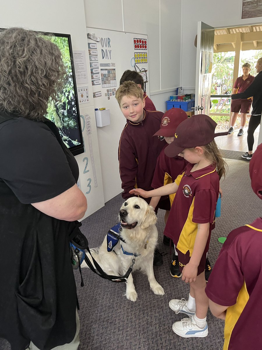 Every student is valued and cared for at Caringbah PS. We love what we do and love who we nurture each and every day <a href="/caringbah_p/">Caringbah PS</a>  <a href="/PEFOZ/">Public Ed Foundation</a>  <a href="/NSWEducation/">NSW Dept of Education</a> ♥️🙏♥️ #proudlypublic