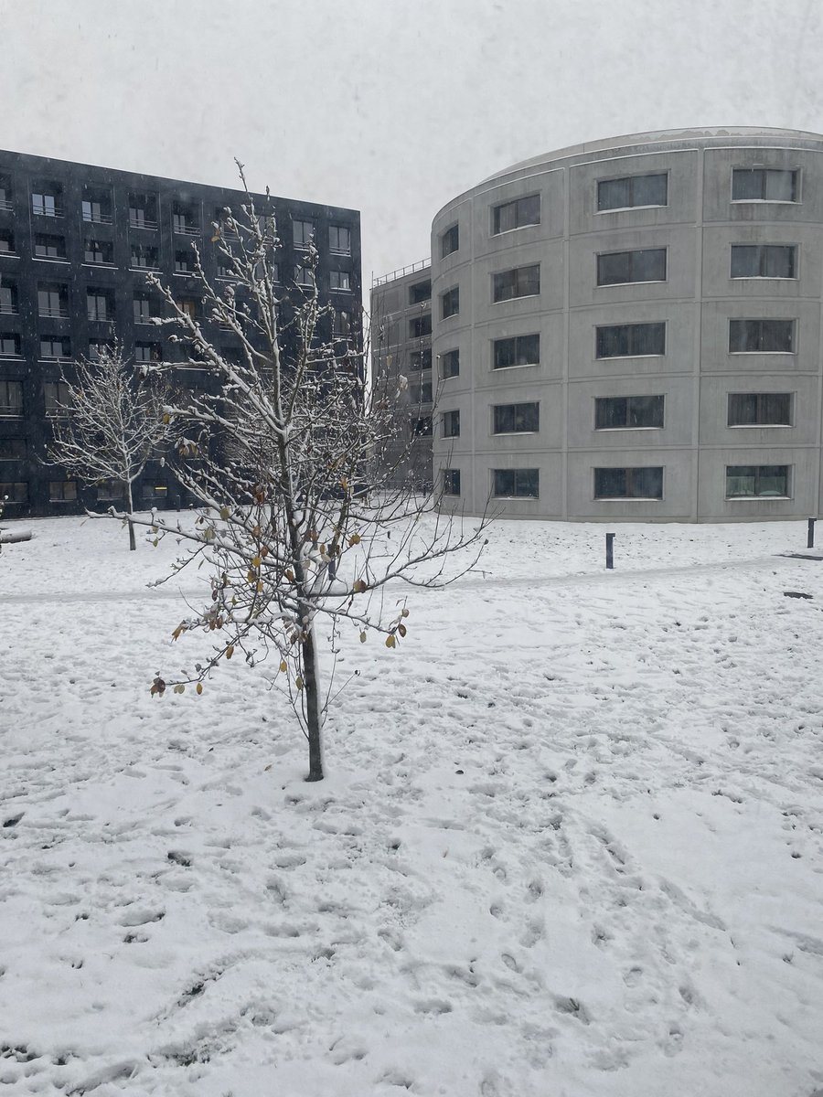 Hadrien tweet media