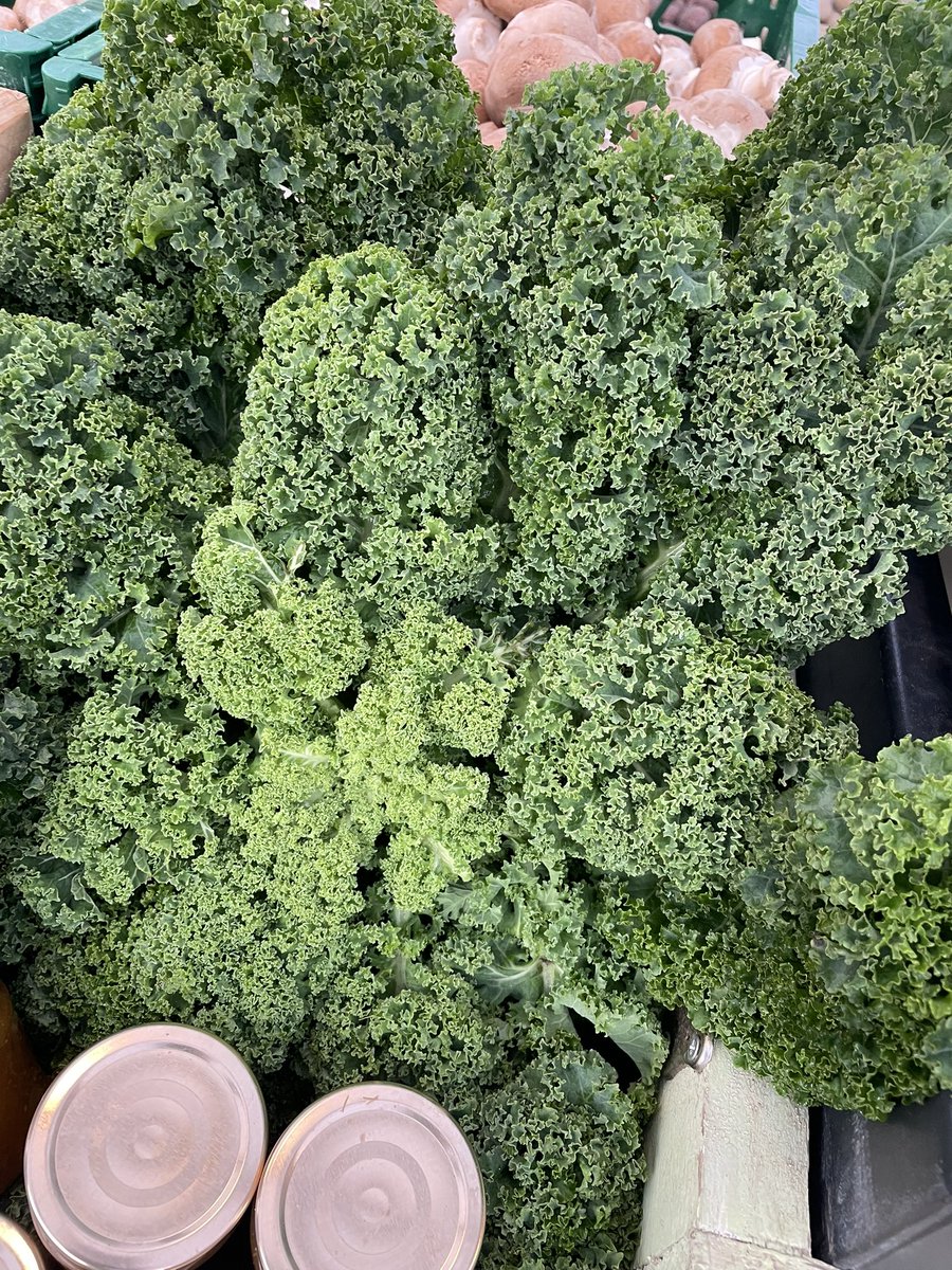 Tuinderij de Es tweet media