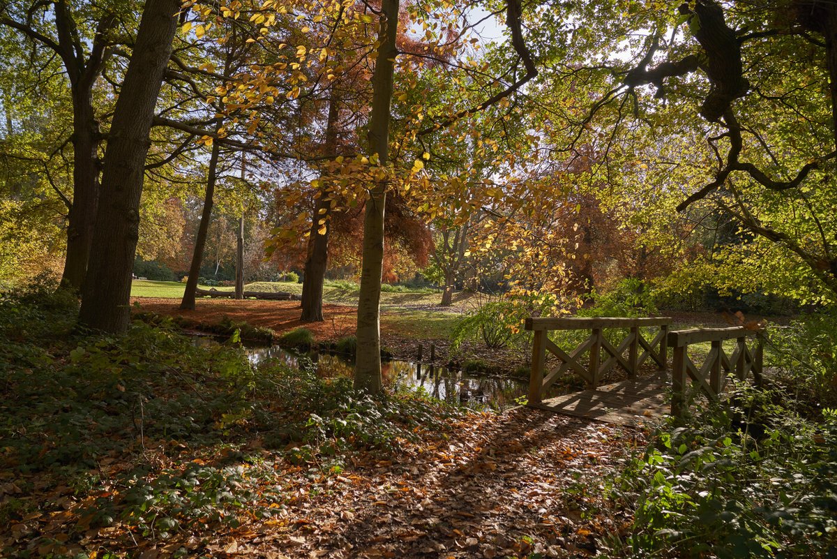 ⚠️ Due to predicted high winds from Storm Bert, several park areas will be closed on Saturday 23 and Sunday 24 November. 

⛔ The Woodland Gardens, Water Gardens and playground in Bushy Park. 

⛔ The Flower Garden, Queens Orchard and playground in Greenwich Park.