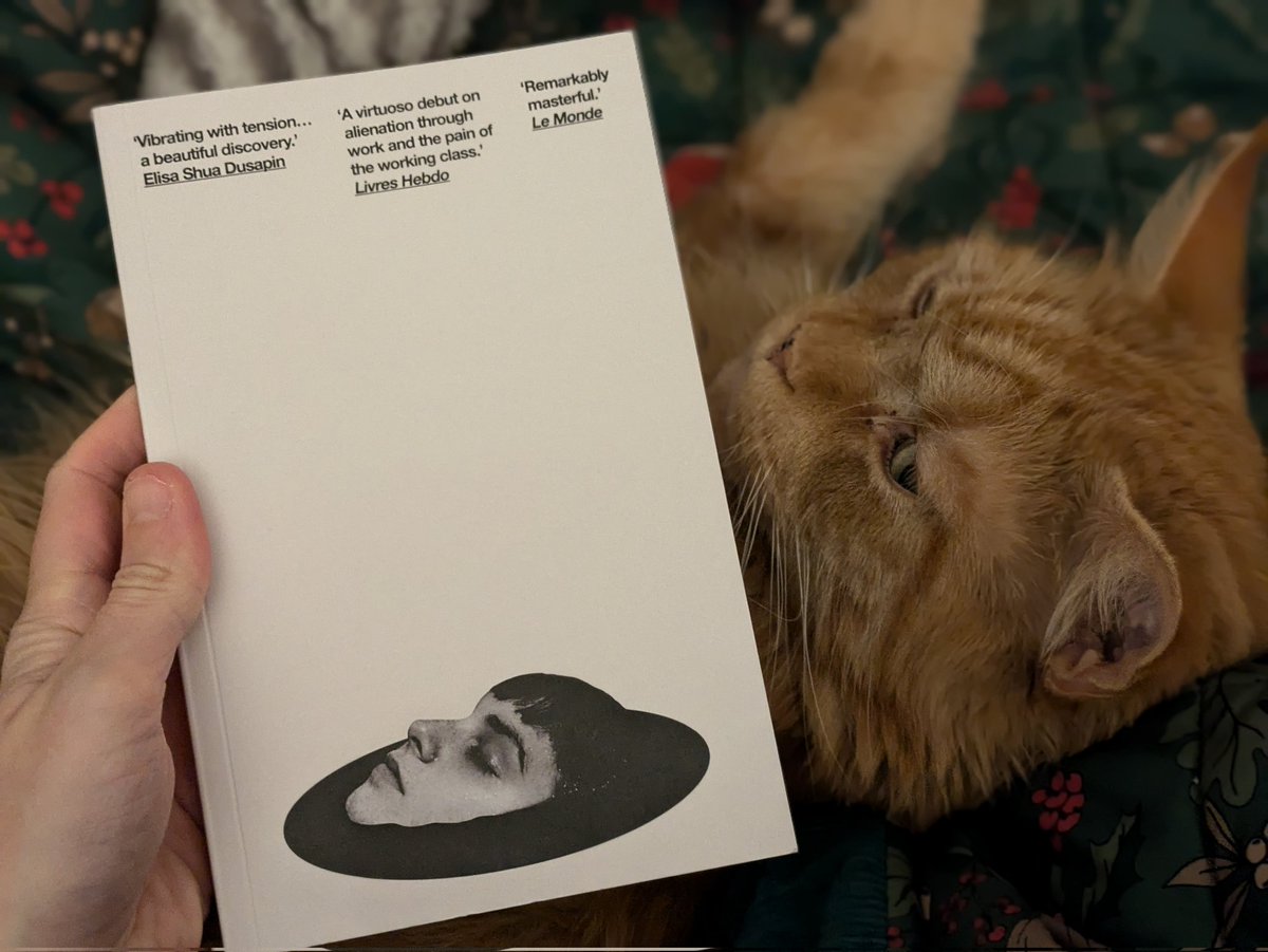 red 𓆧 tweet media