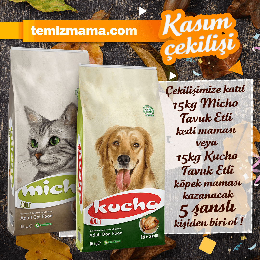 🥳 Temizmama Kasım çekilişi başladı! 🥳

👉 <a href="/temizmamacom/">Temizmama</a> hesabımızı takip et. ✔️⁠
👉 Gönderimizi beğen ve repostla. ❤️⁠
👉 Bir arkadaşını yoruma etiketle. 💬⁠

5 takipçimize: 😻 15KG Micho #KediMaması veya 🐶 15KG Kucho #KöpekMaması #Hediye! 🐾

Sonuçlar 3 Aralık!🤩