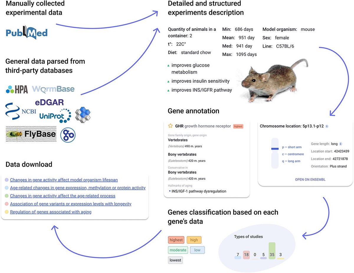 agingdoc1's tweet image. Open Genes—a new comprehensive database of human genes associated with aging and longevity

academic.oup.com/nar/article/52… 

@OpenGenes @CRafikov