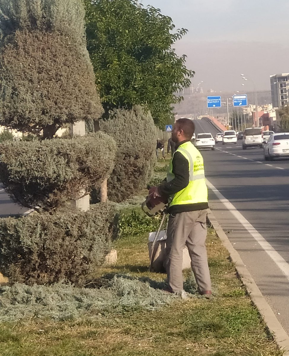 SbbPark's tweet photo. 📍15 Temmuz Demokrasi Bulvarı ❤️

Park ve Bahçeler Daire Başkanlığına bağlı ekiplerimiz; 🚧👷

Mevsimsel Bakım ve Form Budama çalışmalarını sürdürmektedir.🌳

@sanliurfabld 
@MithatCanKutluc 
@halilaldeniz_ 
@urunyahya 
@Tuba_Yaygin 
@mesuthicri https://t.co/PZRWqaZ3yt